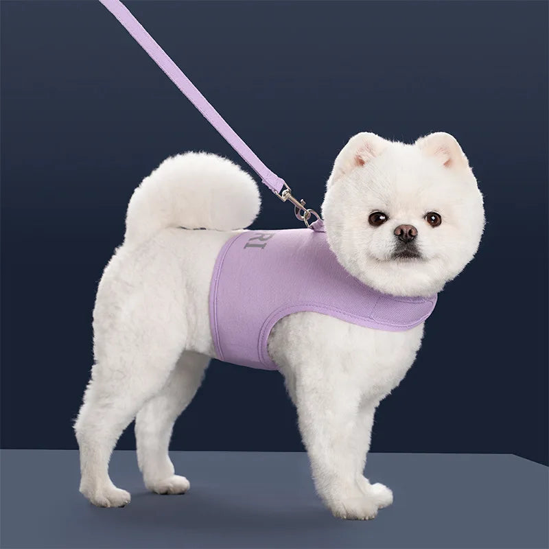 Adjustable Escape-Proof Vest Harness & Lead Set for Small Dogs & Cats