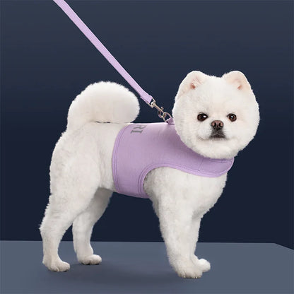 Adjustable Escape-Proof Vest Harness & Lead Set for Small Dogs & Cats
