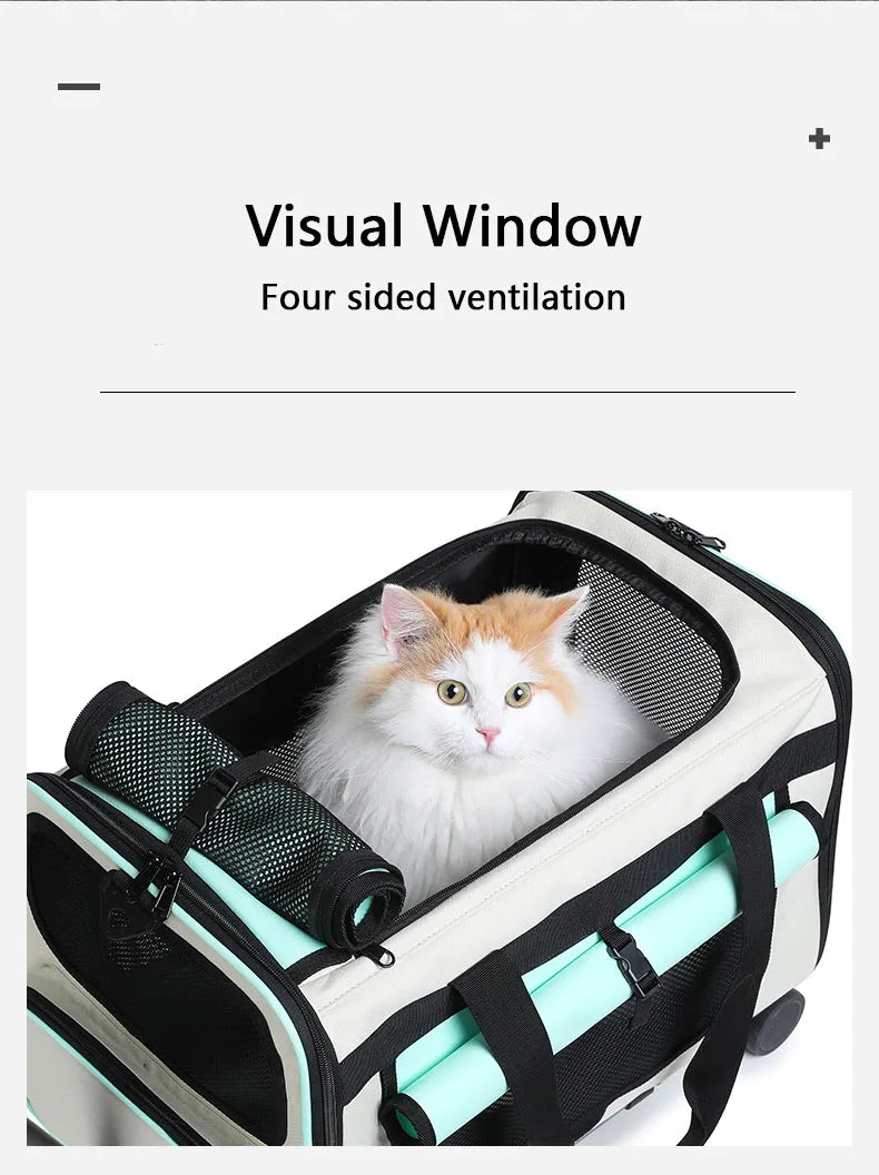 Airline Approved Collapsible Soft-Sided Pet Carrier — Travel Cat & Dog Carrying Case