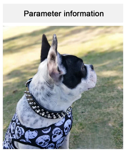 PU Leather Punk Rivet Spiked Collar for Small Dogs & Cats