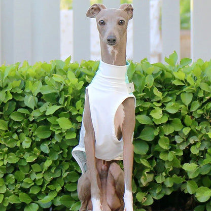 Breathable Summer Cooling Vest for Dogs & Cats