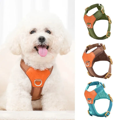 Multi-Pet Harness and Leash Set for Dogs and Cats