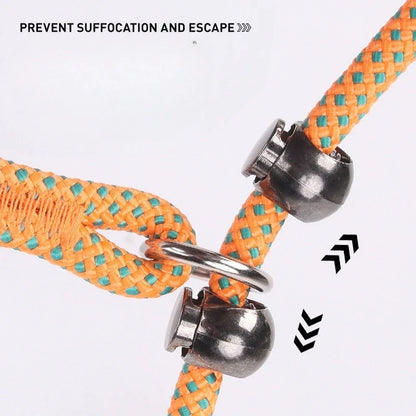 Anti-Tangle Adjustable P-Chain Slip Lead for Small Dogs