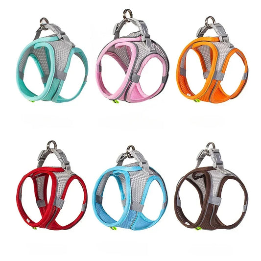 Small Dog Harness and Leash Set