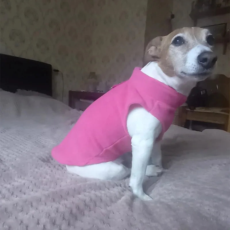Fleece Vest Jacket for Small Dogs & Cats | Warm Winter Coat for Chihuahuas & French Bulldogs
