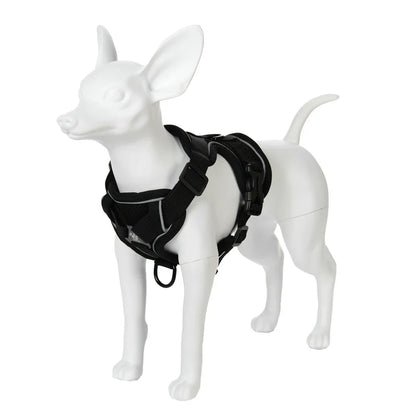 Escape-Proof Reflective Cat Harness & Leash Set — Breathable Vest for Outdoor Walking