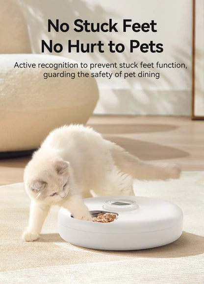 Wireless Automatic Pet Feeder with 6-Meal Capacity and Smart LED Touch Control