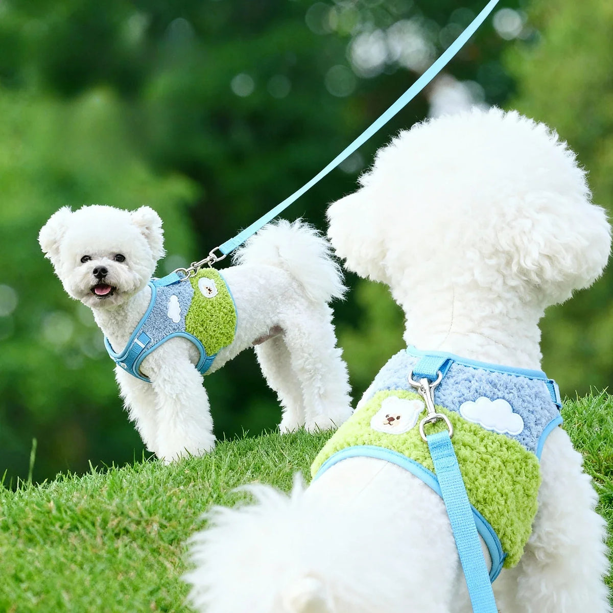 Adjustable Harness & Leash Set for Small Dogs & Cats