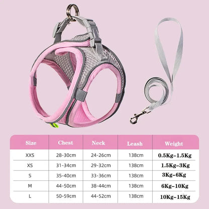 Small Dog Harness and Leash Set