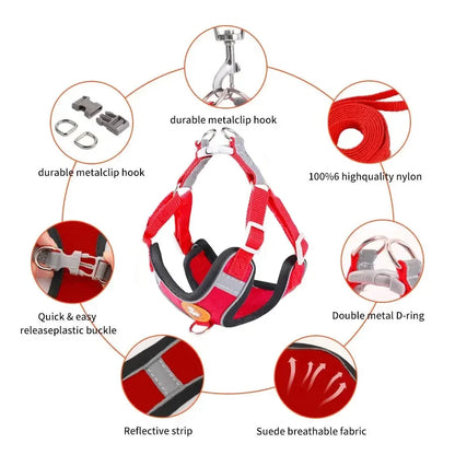 Breathable Reflective Dog Harness - Adjustable for Small Dogs & Puppies