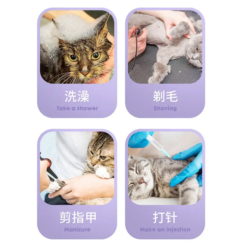 Anti-Slip Pet Paw Protectors - 4 Pack