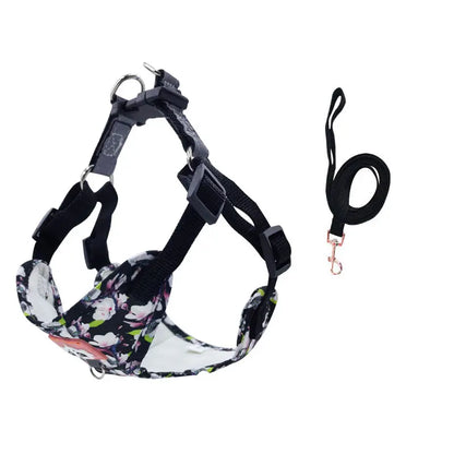 Adjustable Dog Harness & Leash Set with Reflective Strips