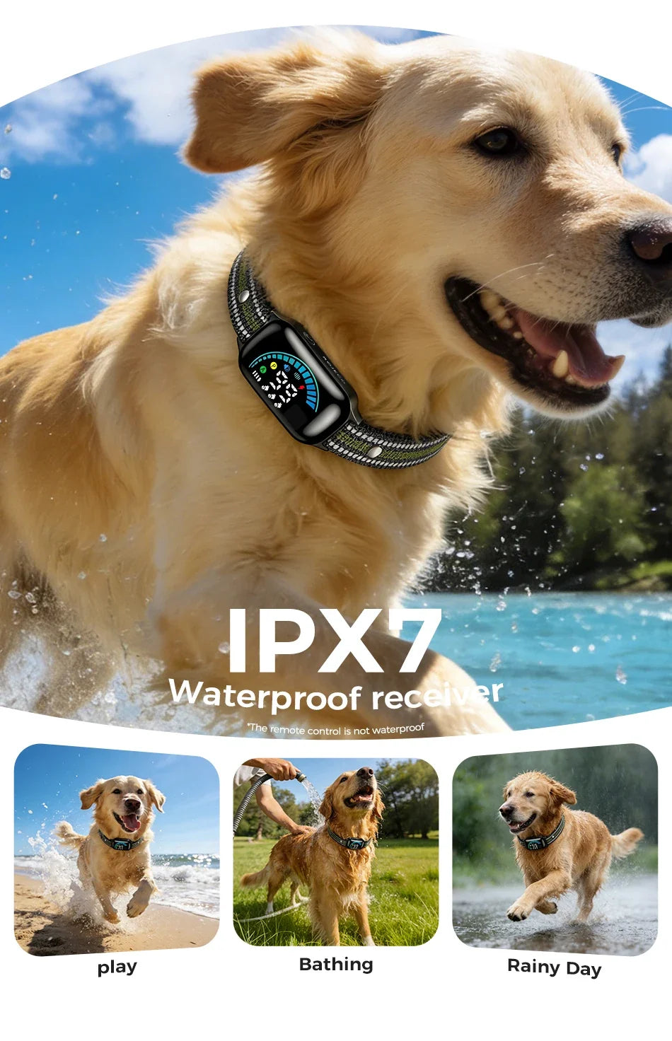 1000m Remote Dog Training Collar with Vibration & Bark Control