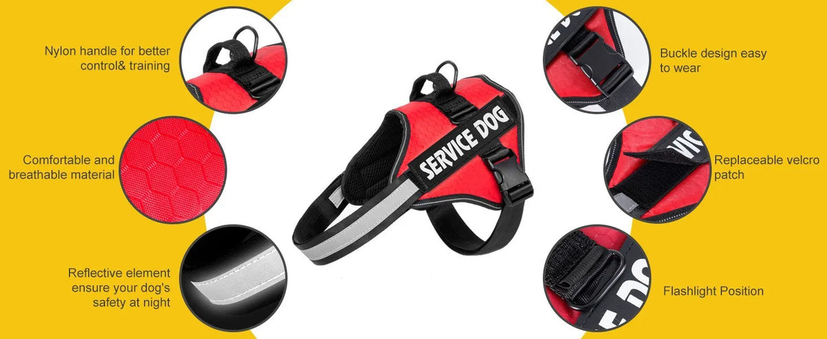 Reflective Adjustable Dog Chest Harness & Walking Lead for Large Dogs