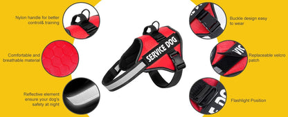 Reflective Adjustable Dog Chest Harness & Walking Lead for Large Dogs