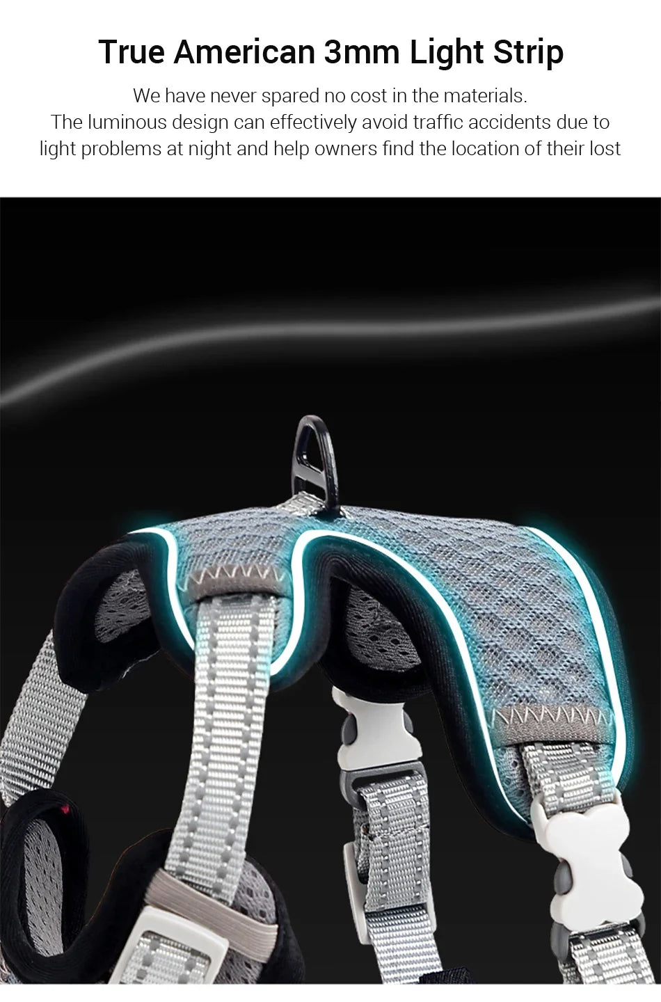 Reflective Cat Harness and Leash Set - Escape Proof, Adjustable Walking Harness