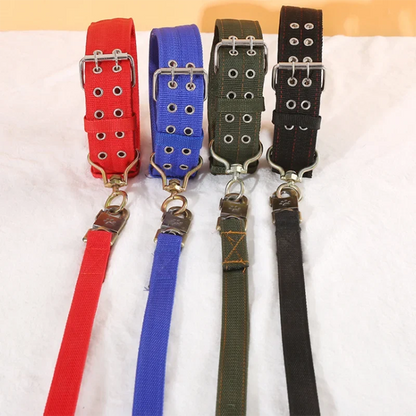 Heavy Duty Nylon Dog Leash & Collar Set