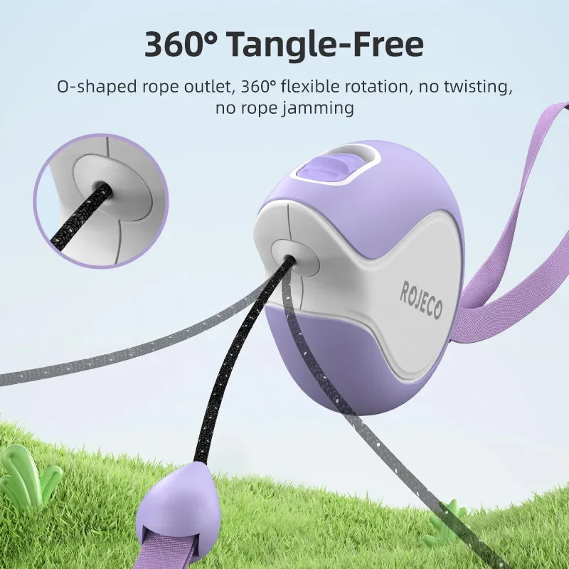 Mini Retractable Dog Leash - 3M Extendable Lead for Small to Medium Dogs