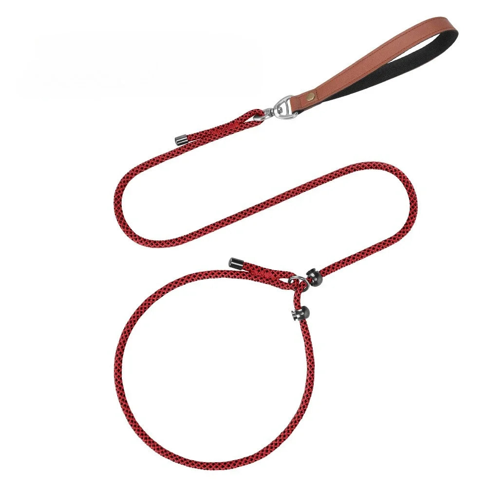 Anti-Tangle Adjustable P-Chain Slip Lead for Small Dogs