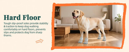 Summer Dog Boots for Hot Pavement Protection