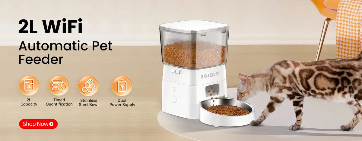 Smart WiFi Automatic Cat Feeder with Remote Control