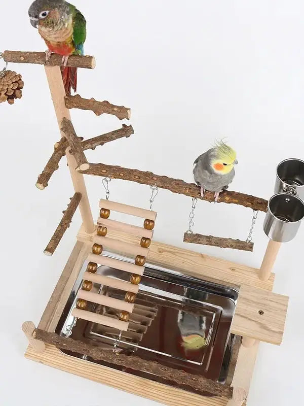 Natural Wood Parrot Climbing Frame with Swing, Ladder & Suspension Bridge