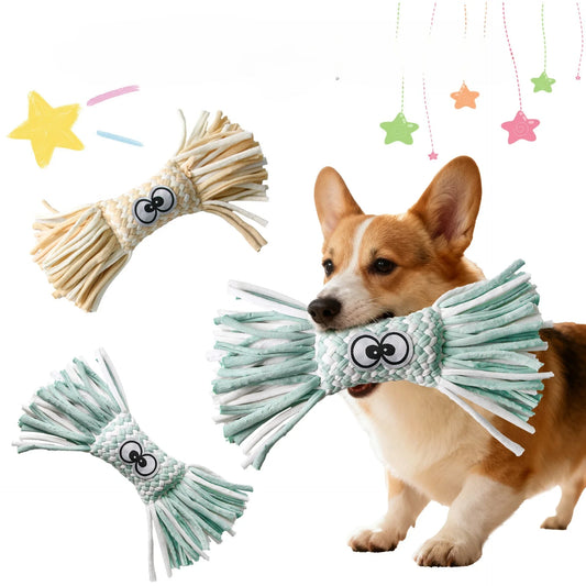 Squeaky Plush Dog Chew Toy for Large Dogs