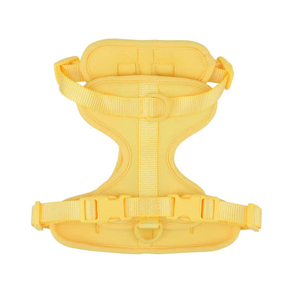 Breathable Adjustable Dog Harness Vest