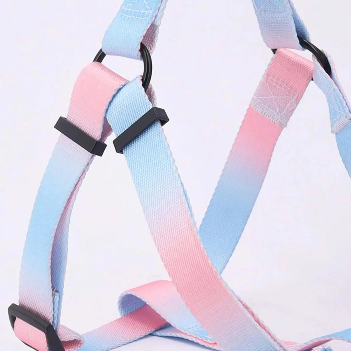 Small Dog Chest Harness with Leash Set - Puppy Training Kit