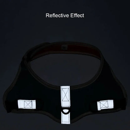 Reflective Dog Harness & Leash Set - Nylon Vest Harness for All Sizes