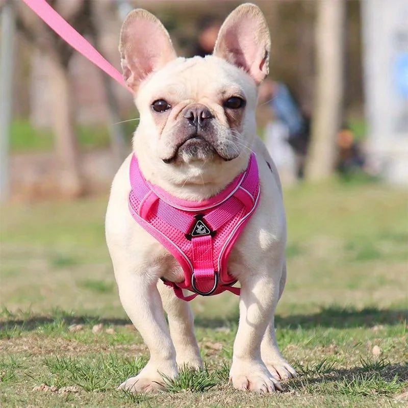 No-Pull Reflective Pet Harness and Leash Set