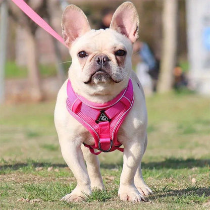 No-Pull Reflective Pet Harness and Leash Set