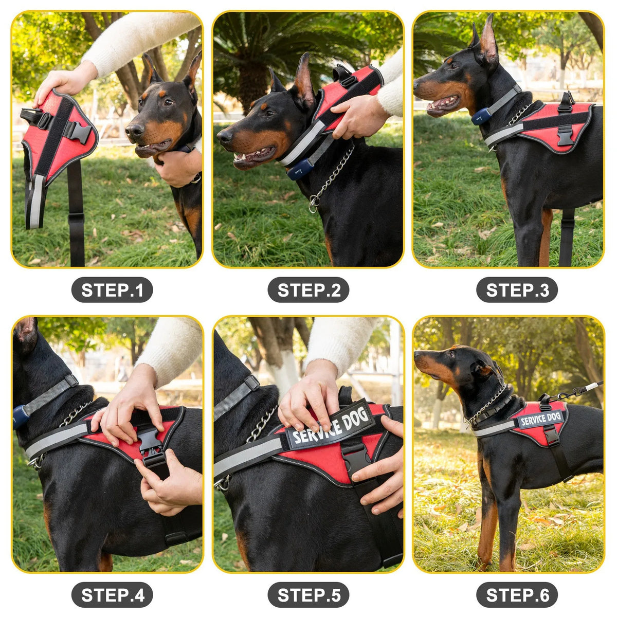Reflective Adjustable Dog Chest Harness & Walking Lead for Large Dogs