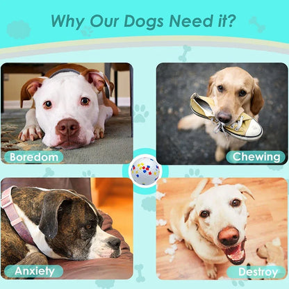 Durable Dog Ball Toy - Bite Resistant Interactive Chew Toy for Small to Large Dogs