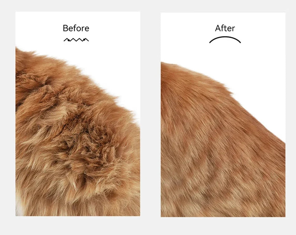 Steam Comb Pet Hair Brush — Electric Grooming Brush for Cats & Dogs