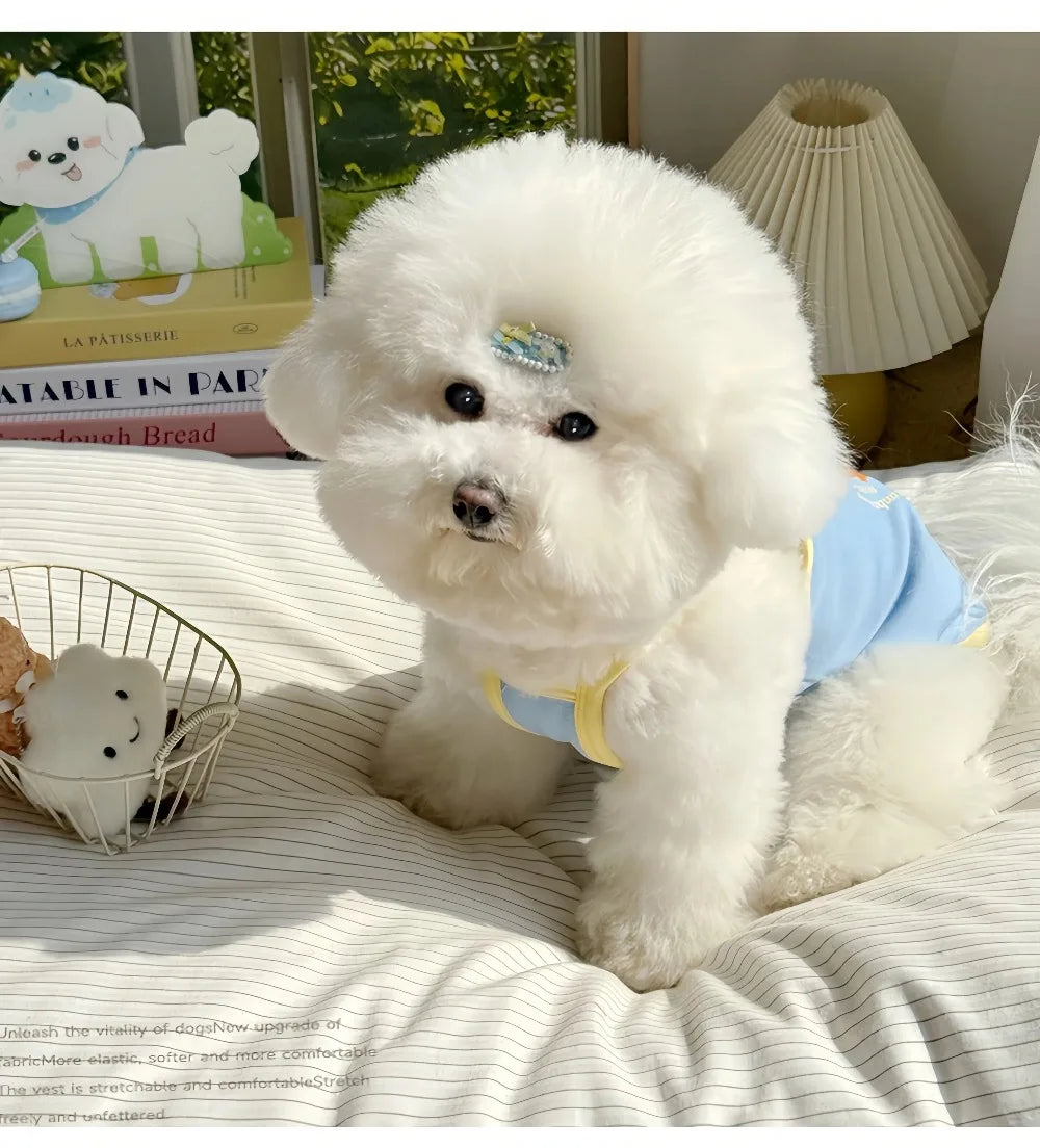 2-in-1 Cooling Slip Dress & Vest for Small Dogs & Cats | Breathable Summer Princess Skirt for Chihuahuas & Puppies