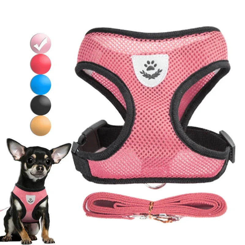 Adjustable Small Dog Harness and Leash Set - Breathable Vest