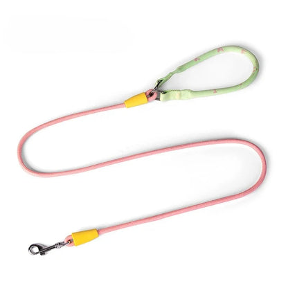 Nylon P-Chain Slip Lead & Collar for Small Dogs