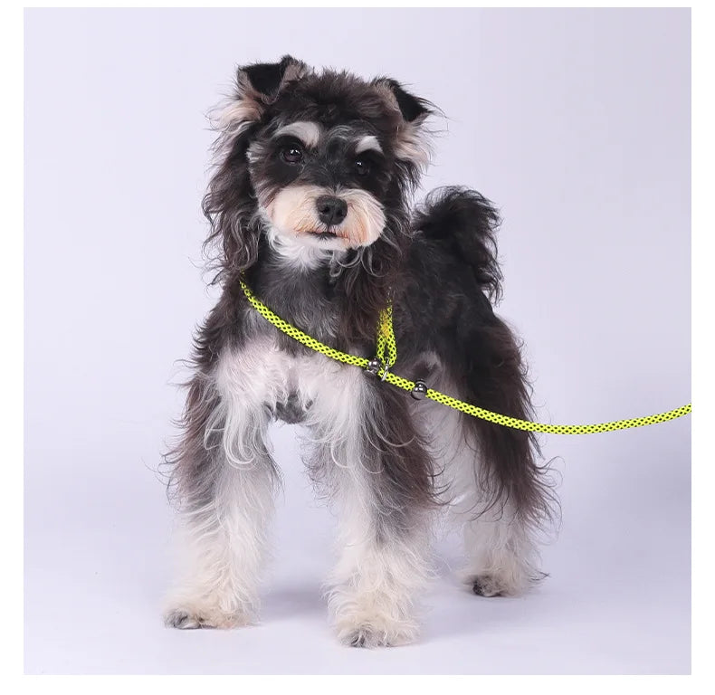 Anti-Tangle Adjustable P-Chain Slip Lead for Small Dogs