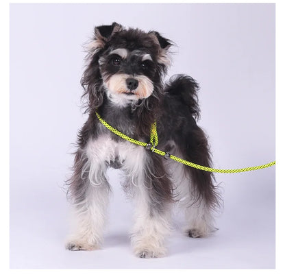 Anti-Tangle Adjustable P-Chain Slip Lead for Small Dogs