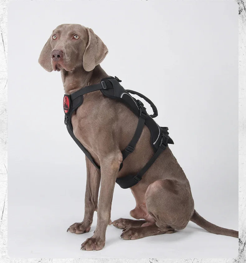 Tactical Military Vest Dog Harness for Large Dogs