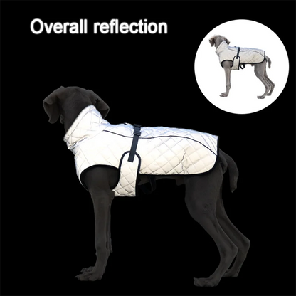Reflective Winter Dog Jacket & Outdoor Vest