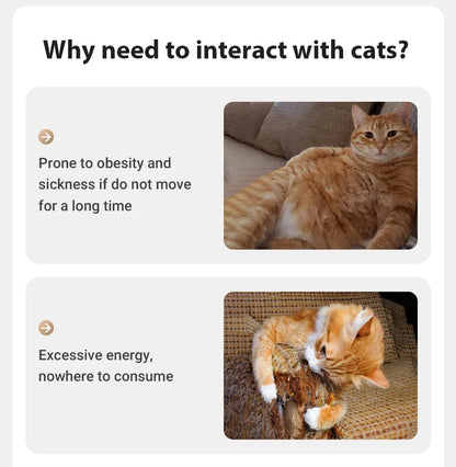 Automatic Interactive Electric Laser Cat Toy
