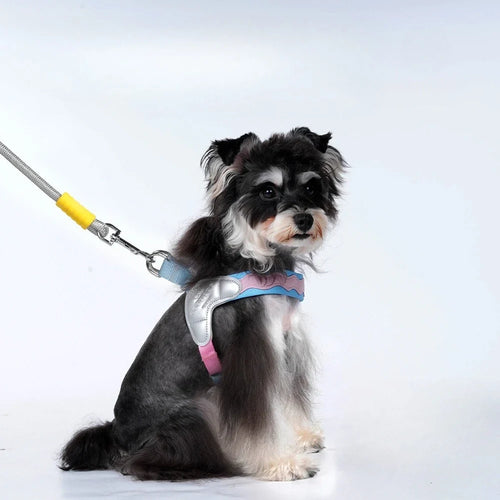 Adjustable Reflective Vest Harness for Small Dogs & Cats