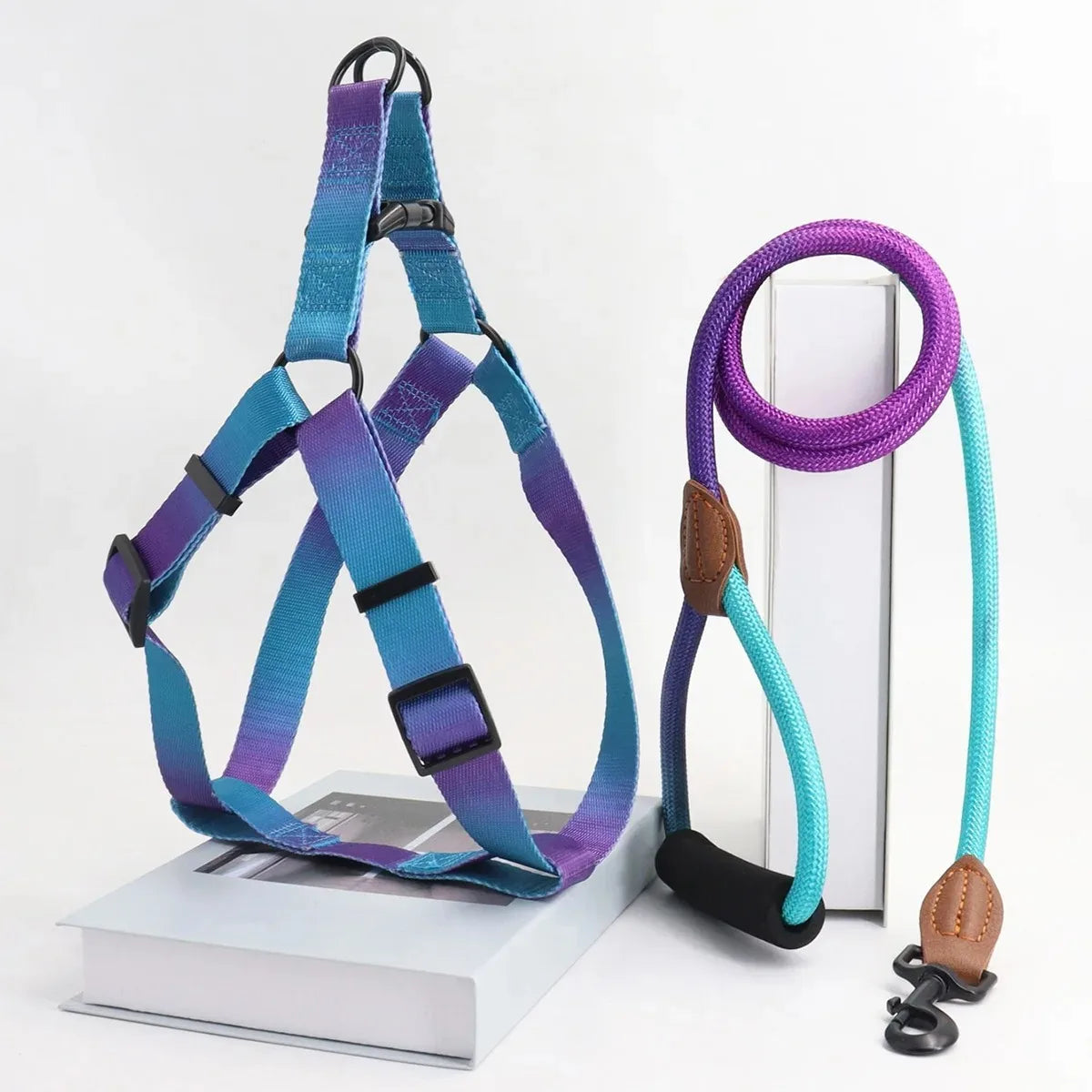 Small Dog Chest Harness with Leash Set - Puppy Training Kit