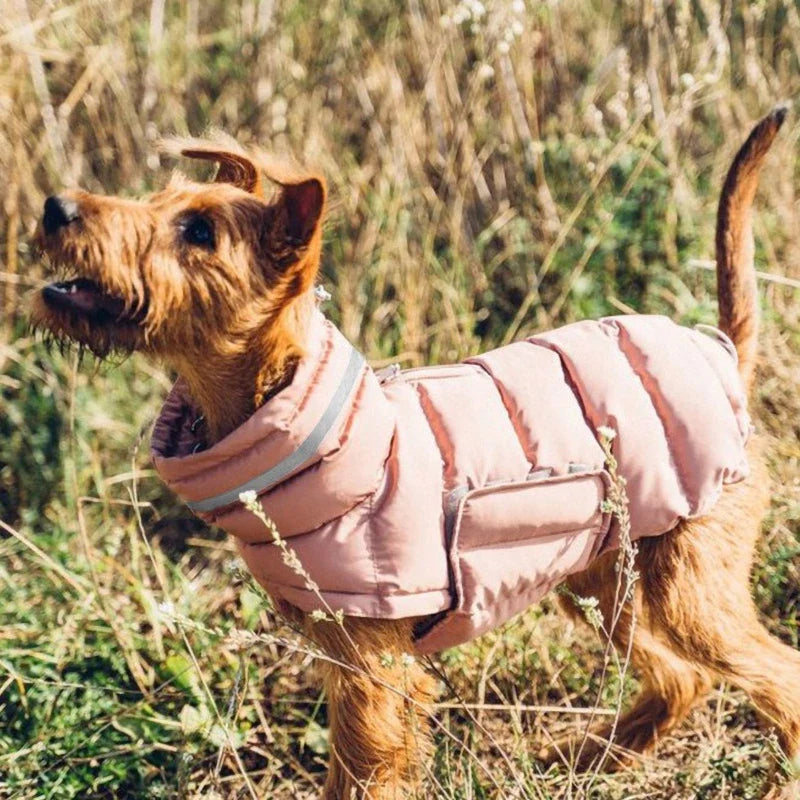 Windproof Winter Down Vest for Small Dogs