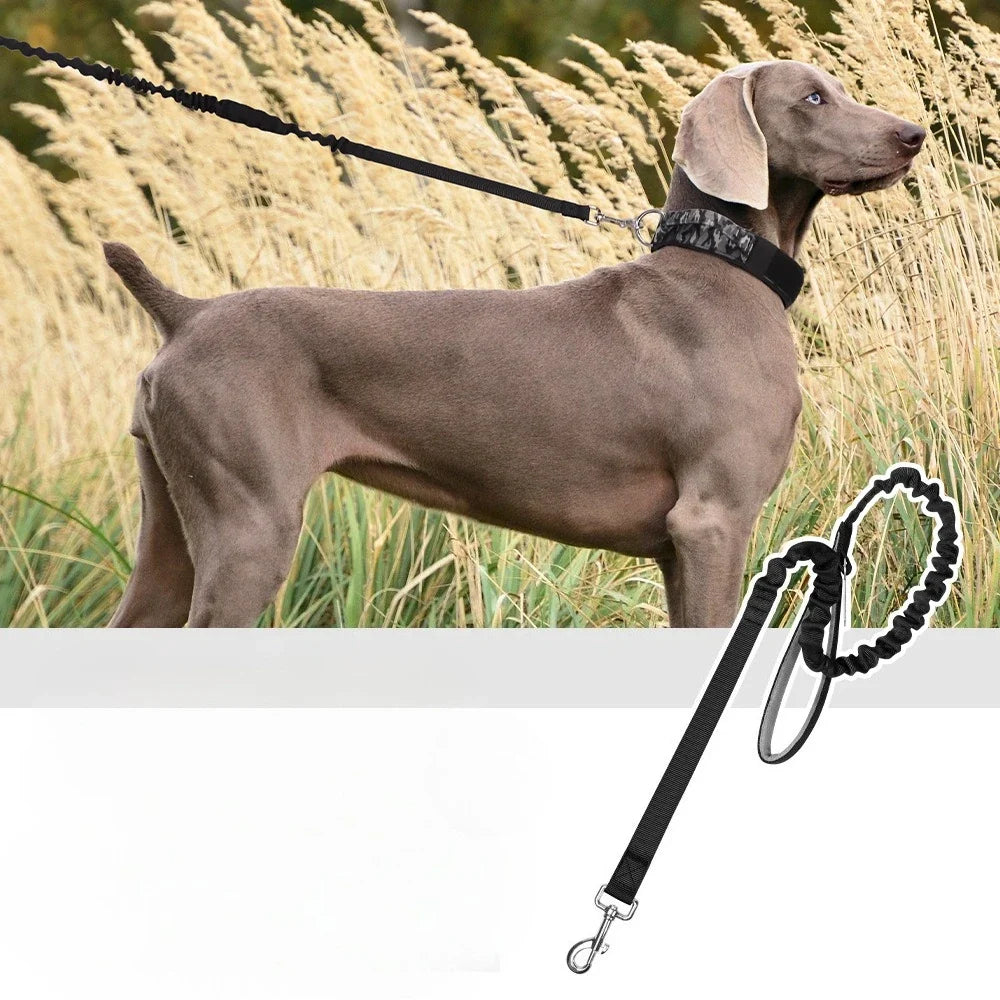 Heavy-Duty Bungee No-Pull Training Leash for Large Dogs