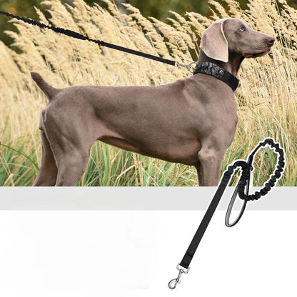 Heavy-Duty Bungee No-Pull Training Leash for Large Dogs