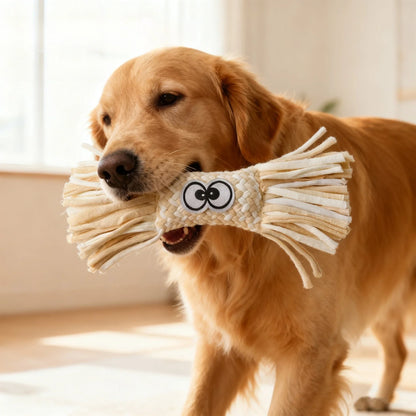 Squeaky Plush Dog Chew Toy for Large Dogs