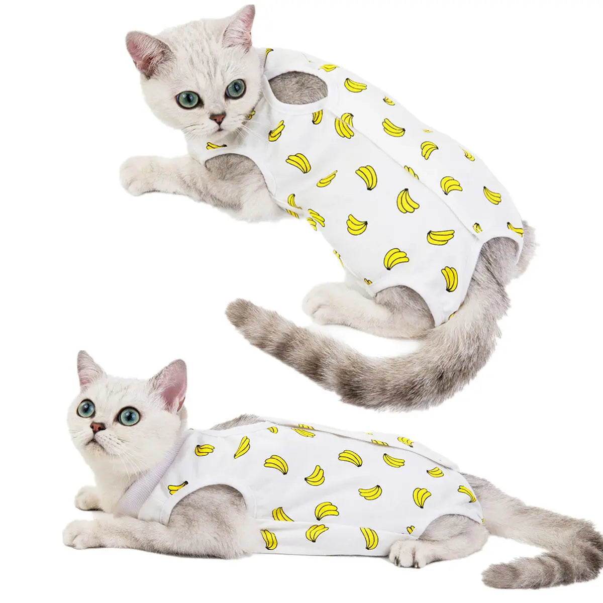 Post-Surgery Recovery Jumpsuit for Cats & Small Dogs